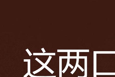 两口子的同义词