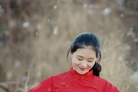 形容村花的经典语录