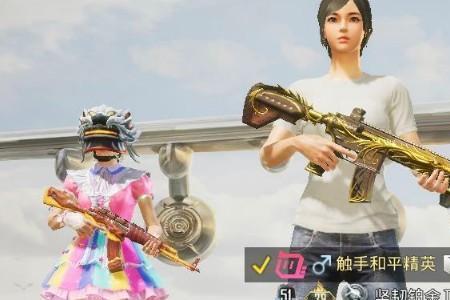 和平精英dd什么意思