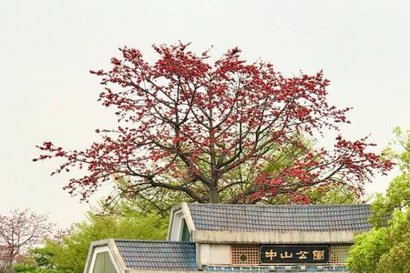 佛山地铁2号线哪一站近中山公园
