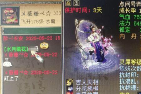 大话西游2信之土叶神有什么用