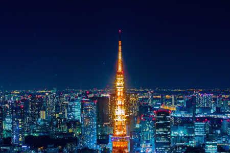 东京海拔高度多少