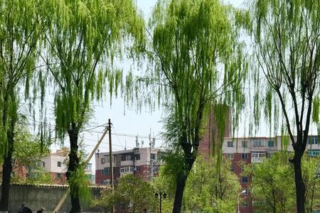 本溪湖到底有多深