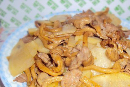 肉炒野生黄蘑菇的做法有哪些