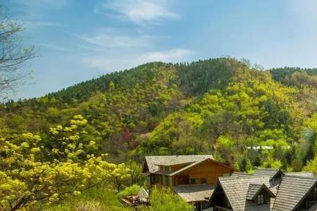 农村60岁免票景点