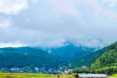 云南65岁免费旅游景点