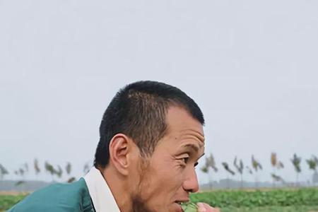 农人之家买苗靠谱吗