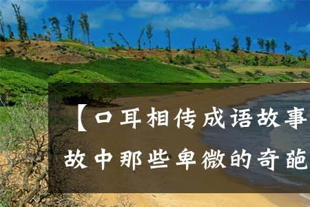 什么耳什么成语