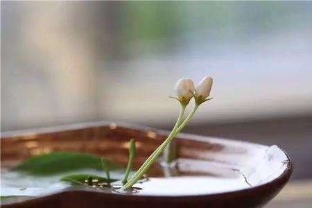 粗茶淡饭总相宜的意思
