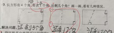 一个长方形去掉2个角还剩几个角