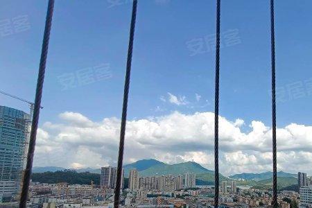 深圳罗湖粤海城高度