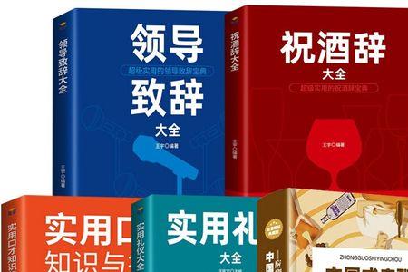 迎接领导检查祝酒词