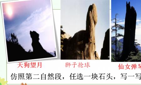 黄山奇石第五段写了什么