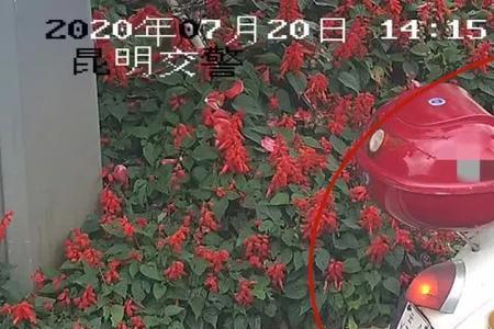 邯郸电子眼拍电动车违章吗