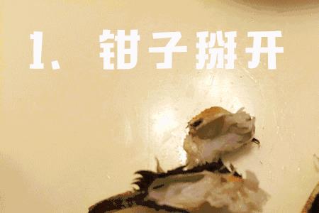 把螃蟹的脚全部剥下可以活吗