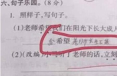 快乐回来啦造句