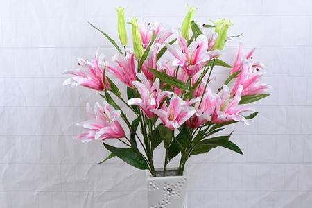 百合是6头好还是10头好