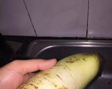 腌萝卜怎么烂得快