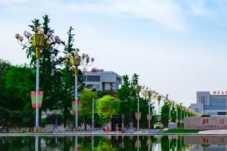 临沂大学毕业都去哪