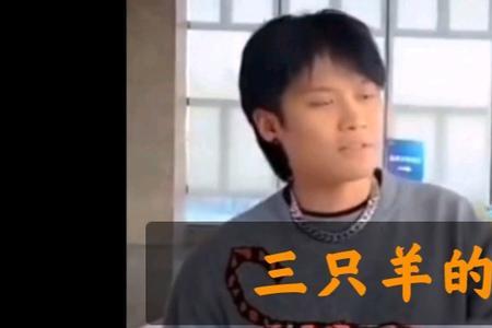 怎么加入三只羊网络公司