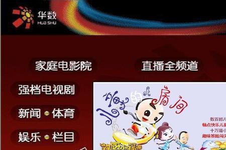 华数网络电视很卡原因