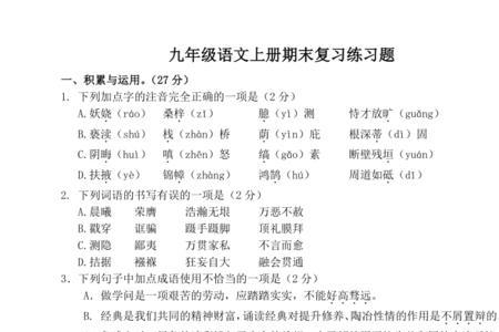 九年级语文阅读题考什么