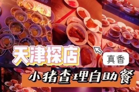 小猪查理读音
