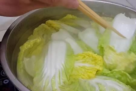 白菜焯水什么意思