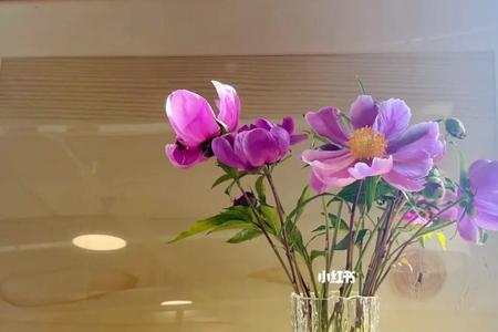 生活有光什么意思