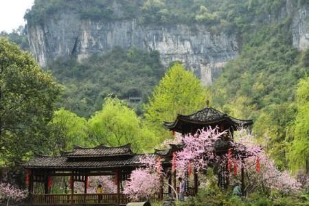 九江桃花源景区要门票吗