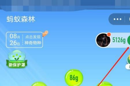 支付宝保护地有多少块