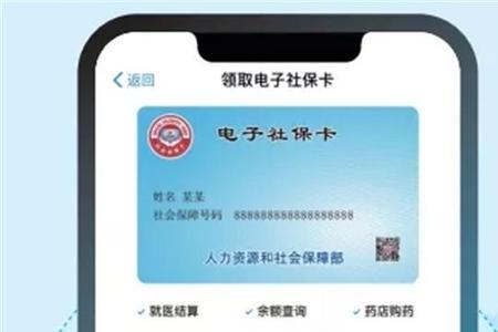 湖北孝感在什么app上交医保和社保