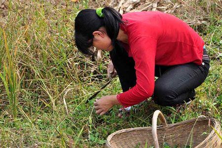 女生说不想挖野菜怎么回复