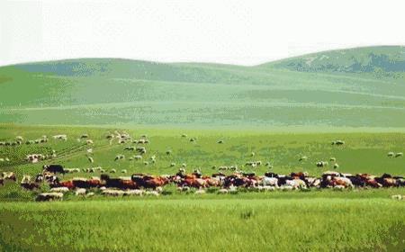 阿尔斯什么意思