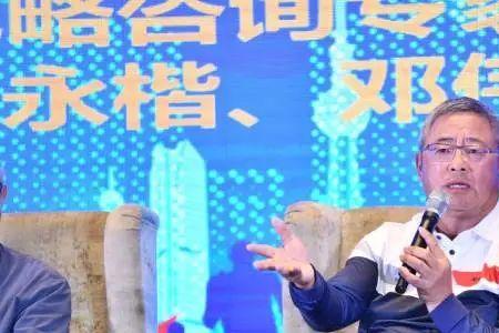 王志纲实力