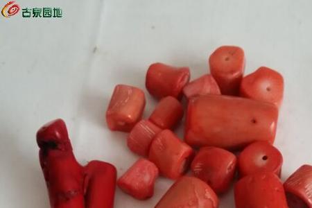 虫眼珊瑚值钱吗