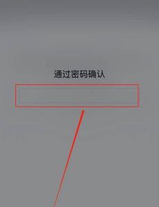 苹果11面部支付怎么设置