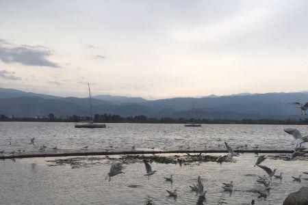 西昌邛海湿地公园有几个大门
