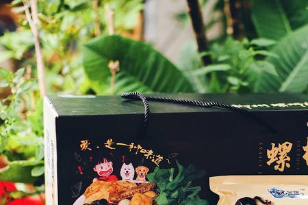 柳州螺蛳粉第一大品牌