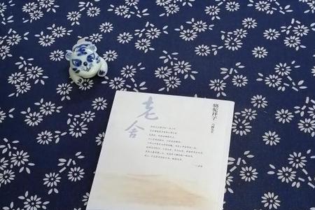 骆驼祥子马裤先生概括
