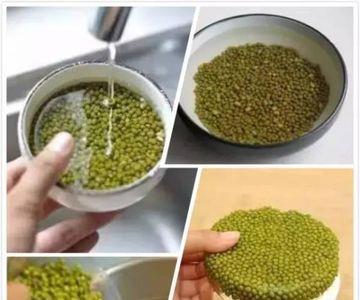 绿豆起源于哪里
