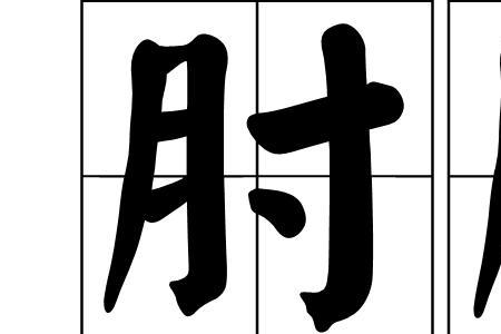 描写手臂纤细的成语