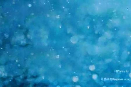 听雨的近义词