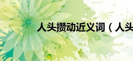 小伙伴的同义词
