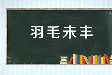 含丰和田的成语