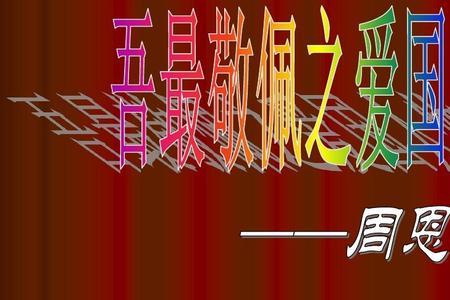 爱国人物事迹四字概括