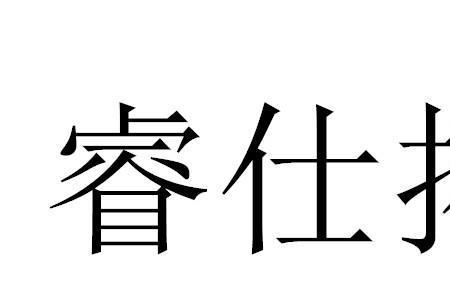 仕途公司怎么样