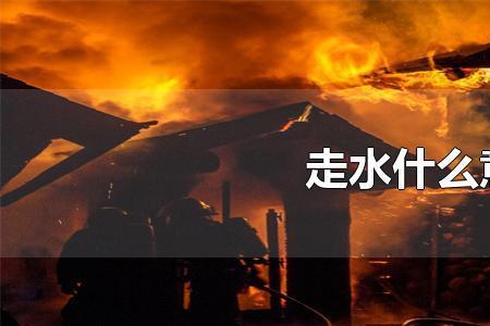 海关走水是什么意思
