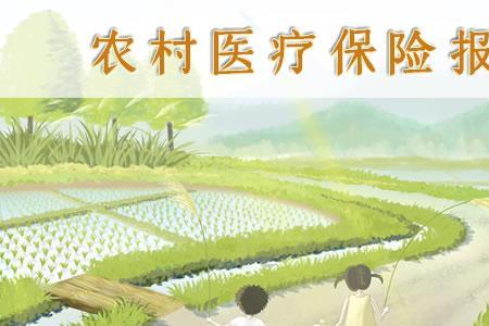 农村医疗保险怎么交