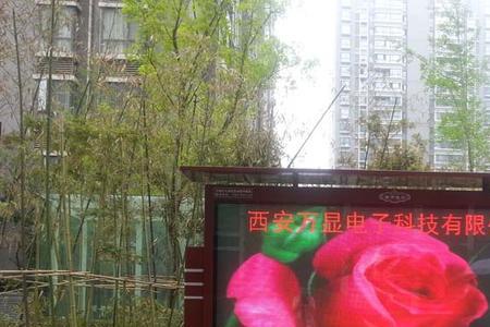 led屏如何显示亮点